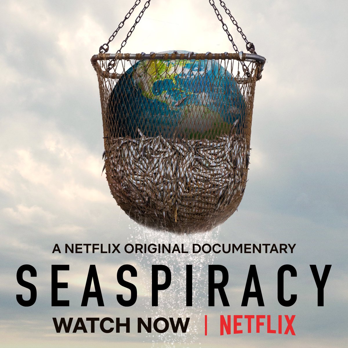 10 Things the World Needs to Learn From Seaspiracy