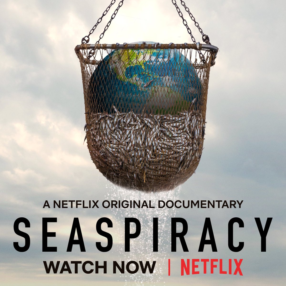 10 Things the World Needs to Learn From Seaspiracy