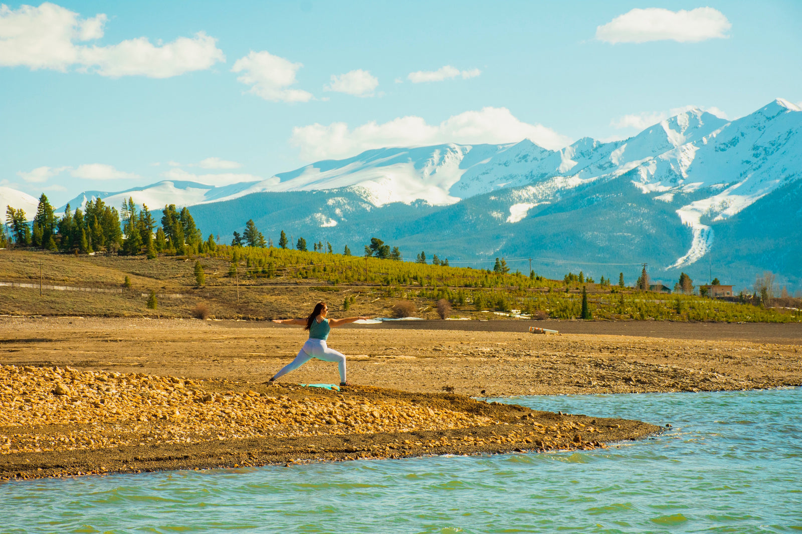 10 Top Tips for a Vegan Beginner By Lucy Sesto!