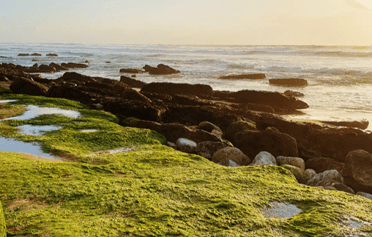 ...with the best ingredients...