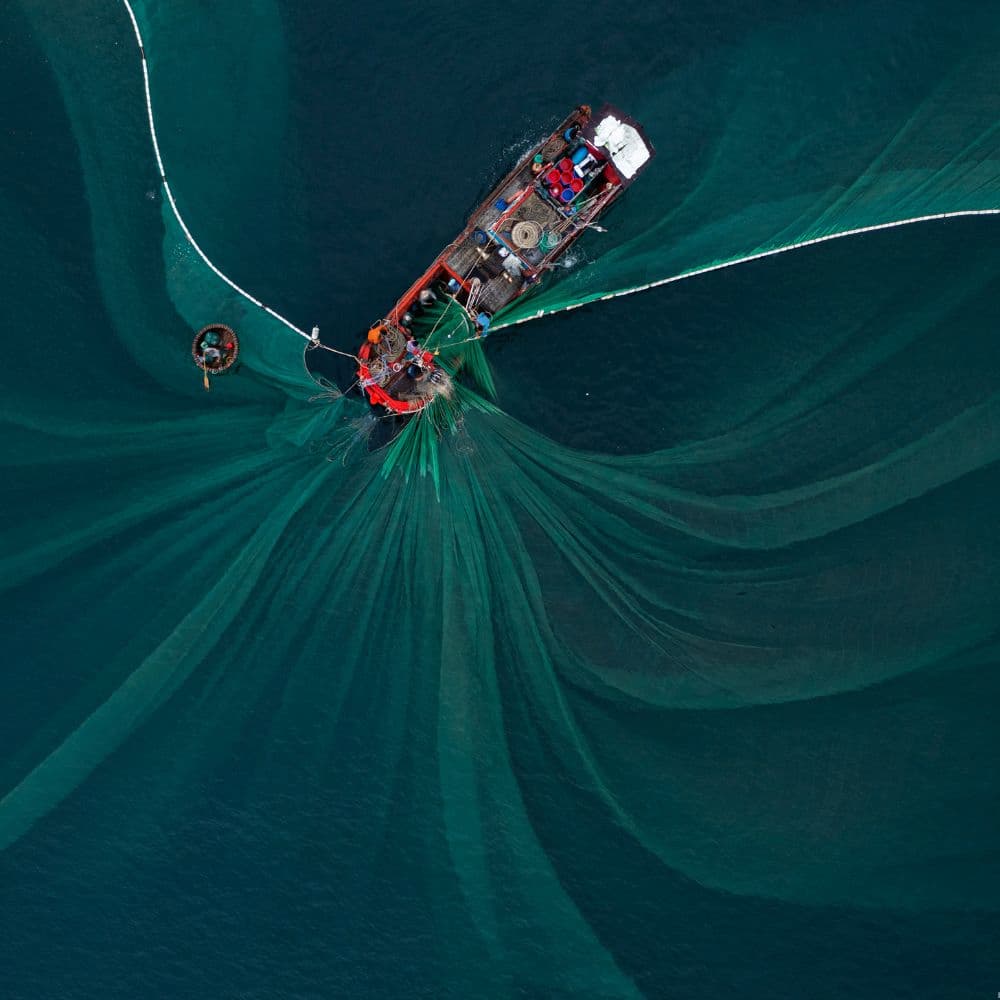 25% of the world's entire fish catch goes towards producing omega-3.