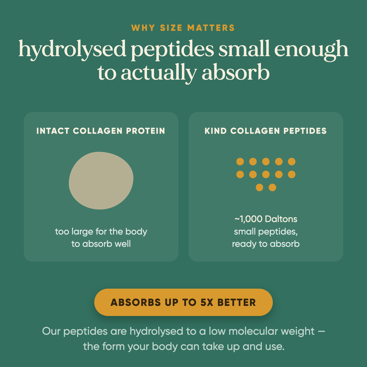 Kind Collagen with Hyaluronic Acid & Vitamin C (Vegan)  -  Omvits