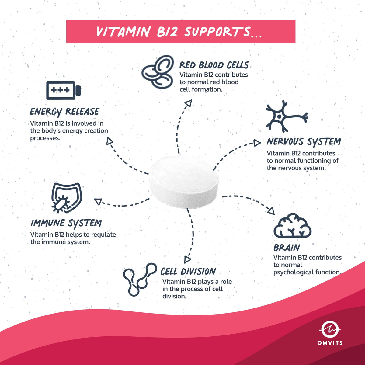 Vegan Essentials 1-Year Saver Bundle - Omega-3 DHA + Vitamin D + Vitamin B12  -  Omvits
