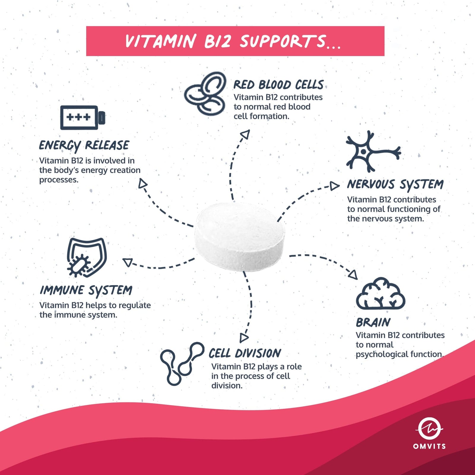 Vegan Essentials 1-Year Saver Bundle - Omega-3 DHA + Vitamin D + Vitamin B12  -  Omvits