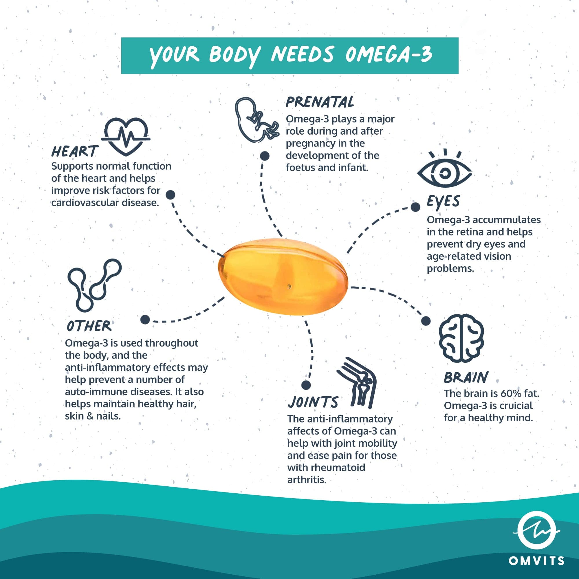 Vegan Omega 3 DHA - Algae Oil Capsules  -  Omvits