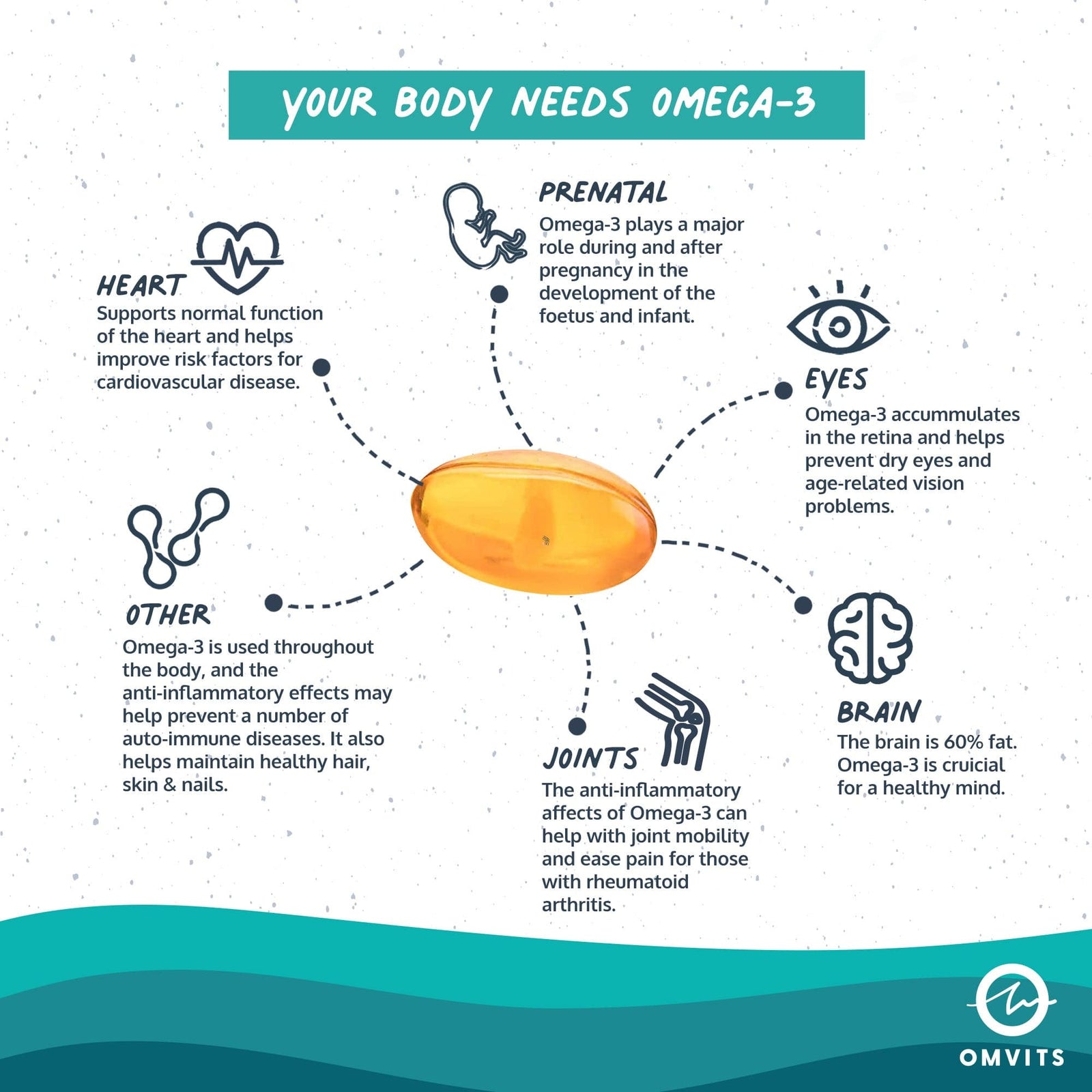 Vegan Omega 3 DHA+EPA - Algae Oil Capsules  -  Omvits