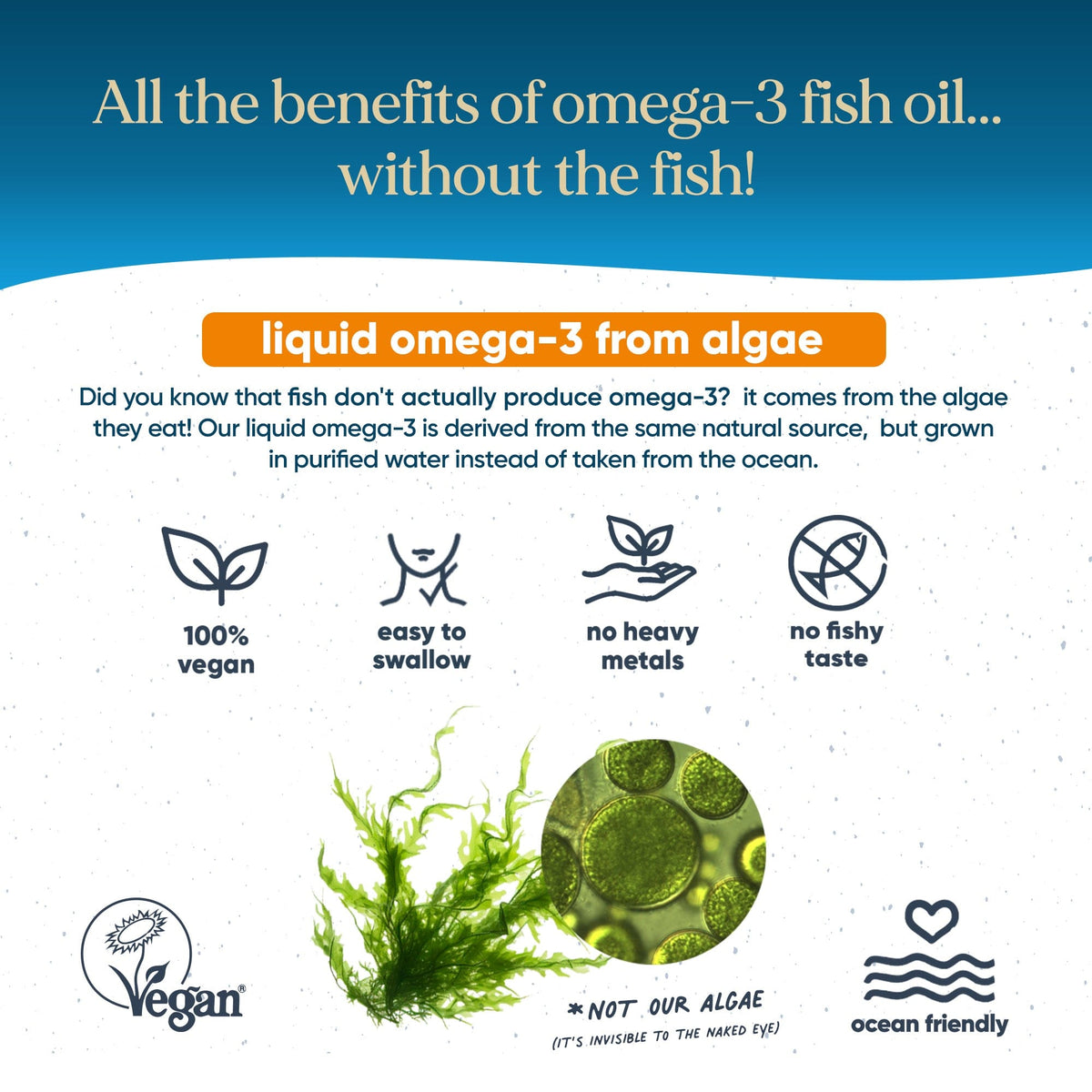 Vegan Omega-3 Liquid DHA+EPA  -  Omvits