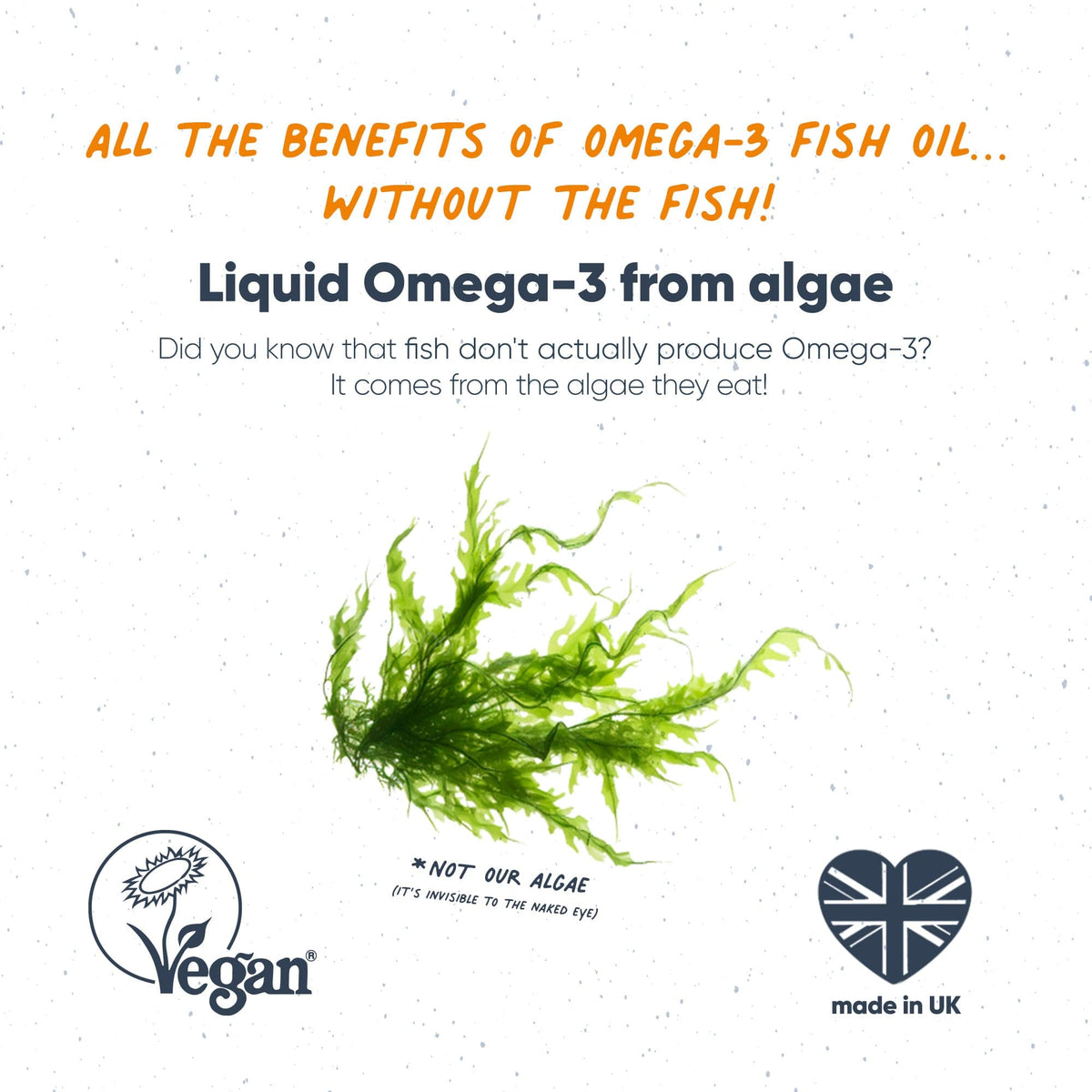 Vegan Omega-3 Liquid DHA+EPA  -  Omvits